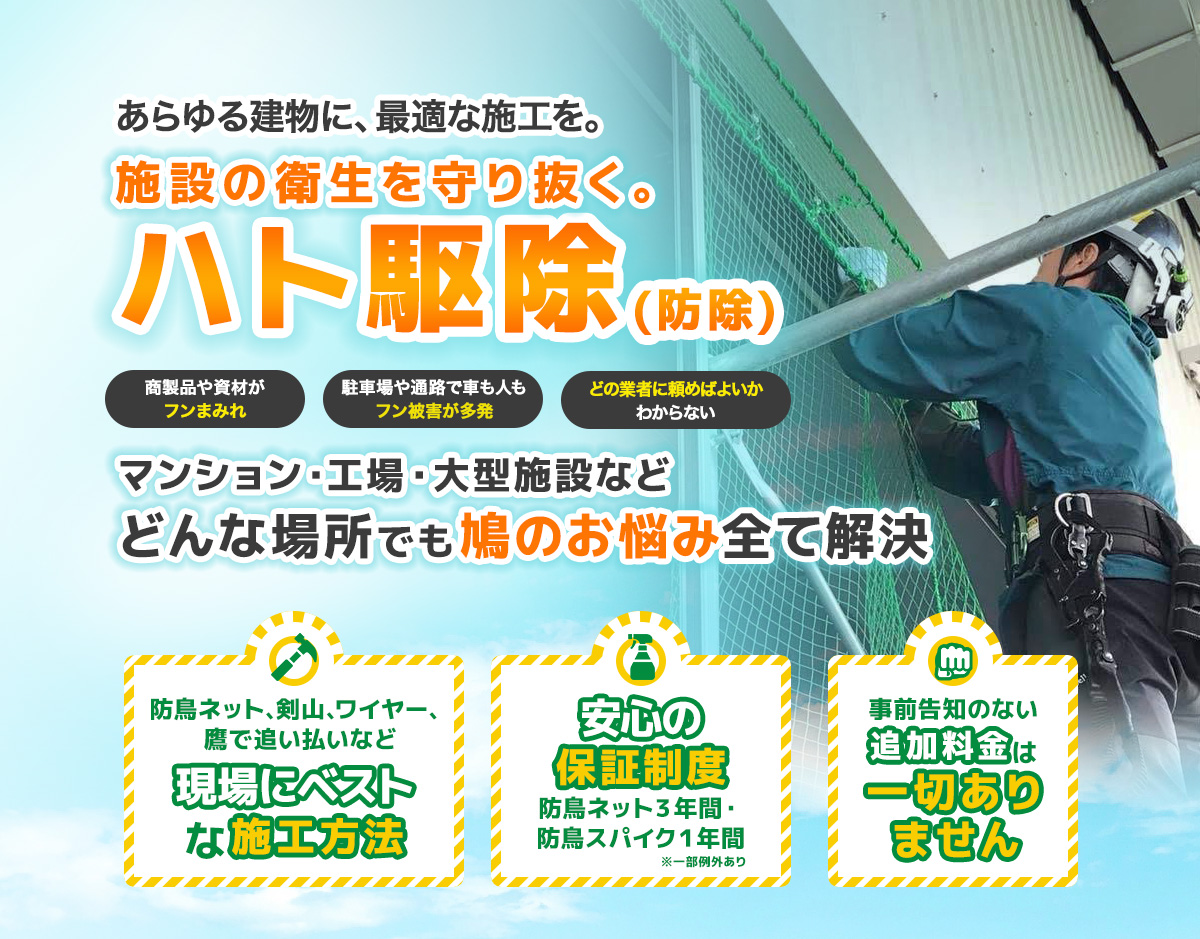 鳥害対策
