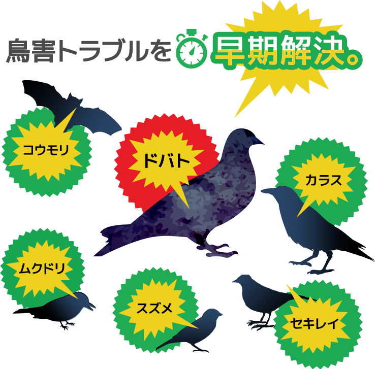 鳥害トラブルを早期解決!