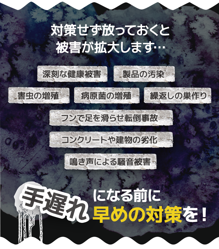 対策せず放っておくと被害が拡大します…