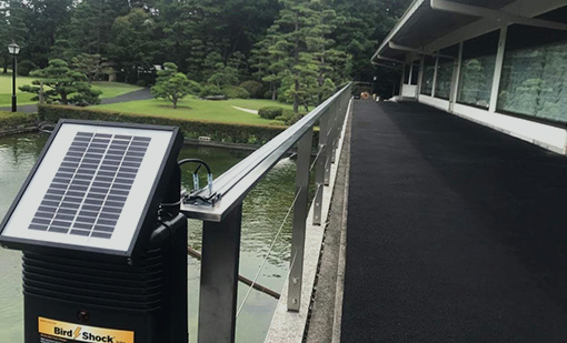 電気ショック工法