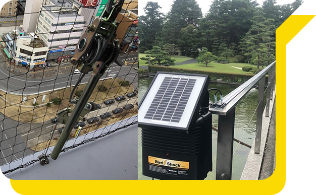 技術力が高く、選択肢（施工法）が多い