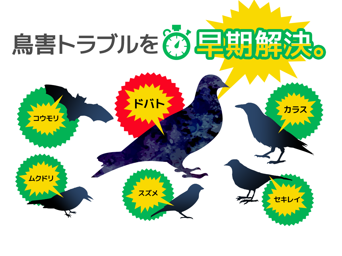 鳥害トラブルを早期解決！